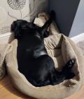 Fast asleep.