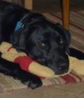 Oscar