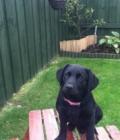 Skye