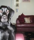 Athena