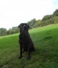 Charlie