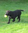 Jack