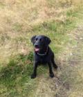 Tilly