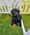 Day one at 8 weeks