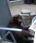 Ruby