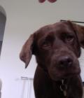 Ruby