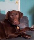 Charlie