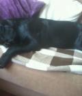 jack