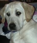 Narla