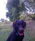 Marley