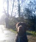Marley