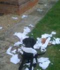 Hattie