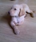 Riley