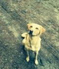 Monty