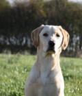 Teagan
