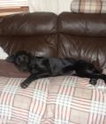 Tilly