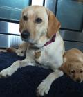 Peggy with daughter