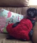 ruby