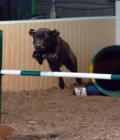 Cadbury