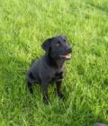 Tilly