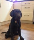 Tilly