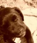 Ruby
