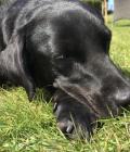 Chilling in the sun!