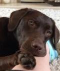 milly