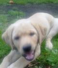 stowford