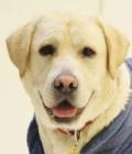 Digby