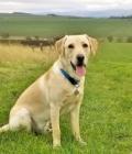 Bailey