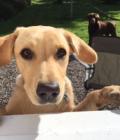 Maddy