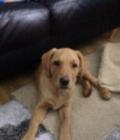 Roxy
