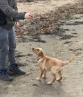 Arya’s first time at the beach 