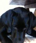 George