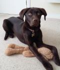 Loves teddy!