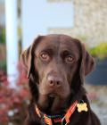 Wispa Posing