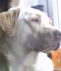 My beautiful girl.