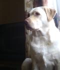 My beautiful girl.
