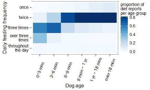 dogslife_feeding_frequency